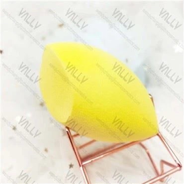 Ιδιωτικό λογότυπο Flawless Finish Sponge Makeup